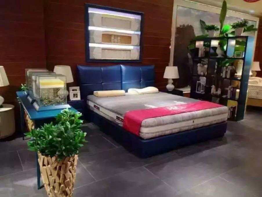 MALJEAN GERMANY HIGH-END MEDICAL SLEEPING